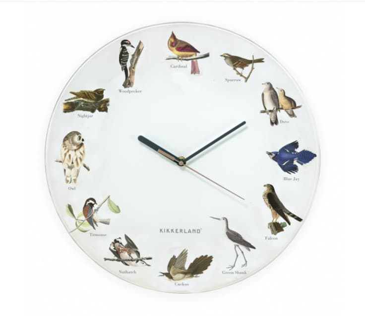 Ceas de perete - Bird Call | Kikkerland